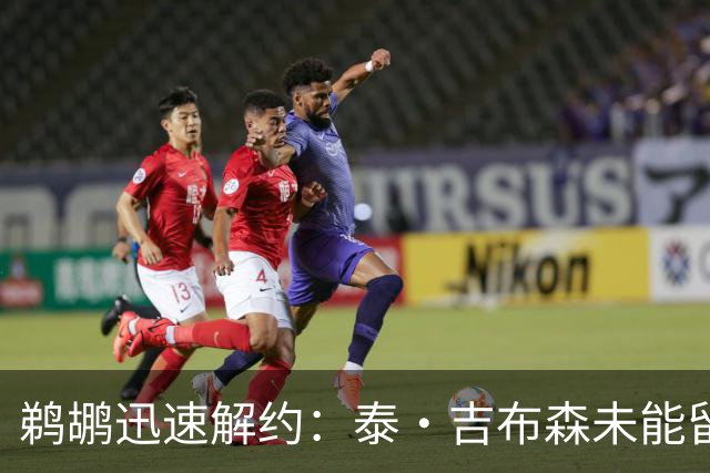 鹈鹕迅速解约：泰·吉布森未能留队